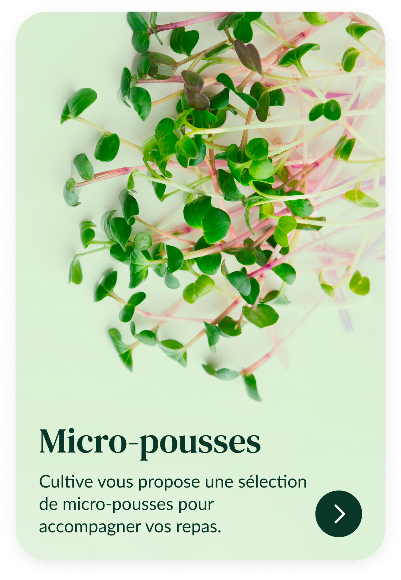 D&eacute;couvrez les recharges de graines de micro-pousses &agrave; utiliser dans votre potager connect&eacute; d'int&eacute;rieur Cultive