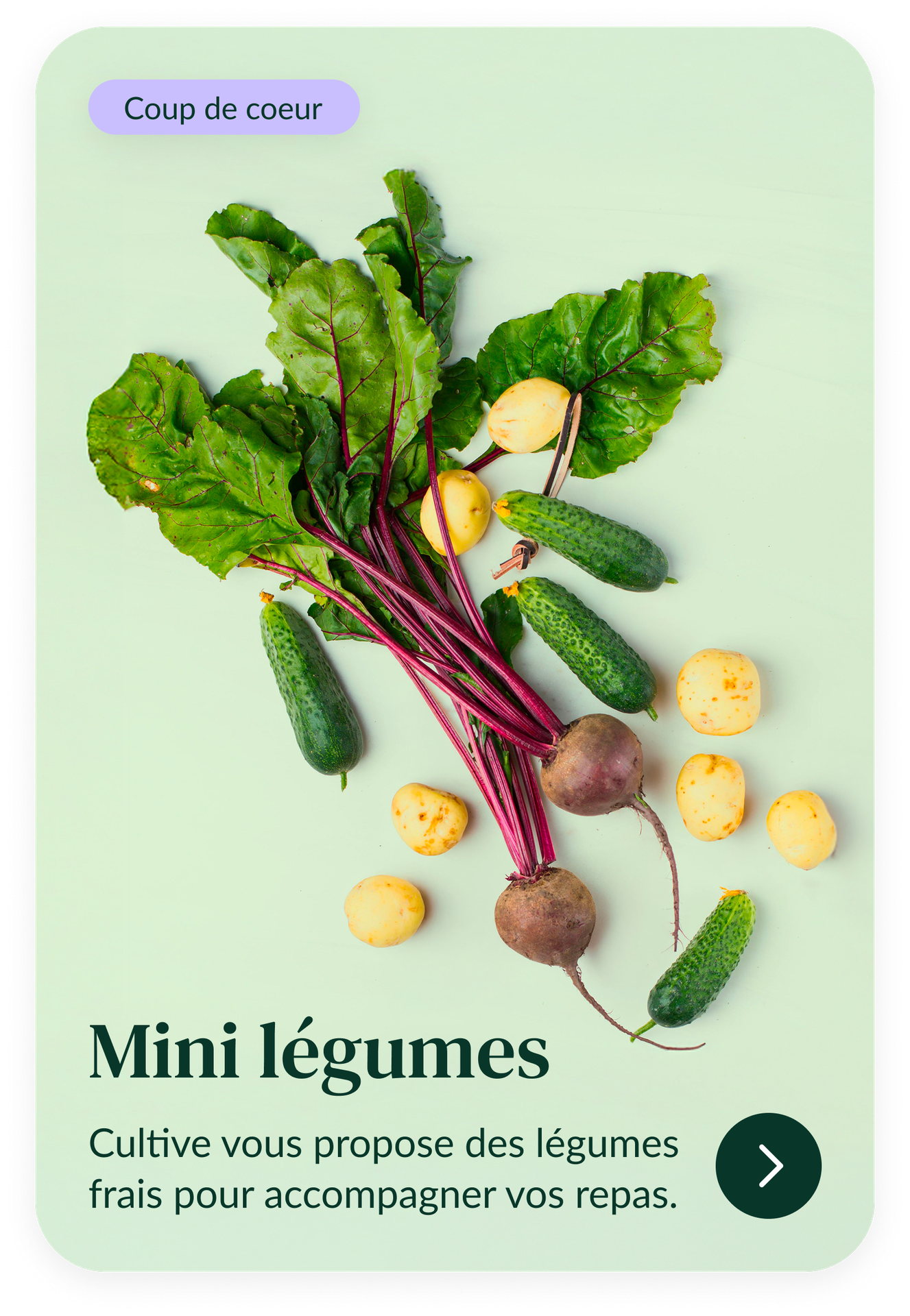 D&eacute;couvrez les recharges de graines de mini-l&eacute;gumes &agrave; utiliser dans votre potager connect&eacute; d'int&eacute;rieur Cultive