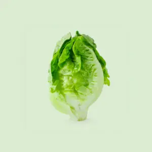 Recharge de graines de laitue pour potager connect&eacute; d'int&eacute;rieur Cultive sur fond vert clair