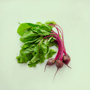 Recharge de graines de mini-betterave pour potager connect&eacute; d'int&eacute;rieur Cultive sur fond vert clair