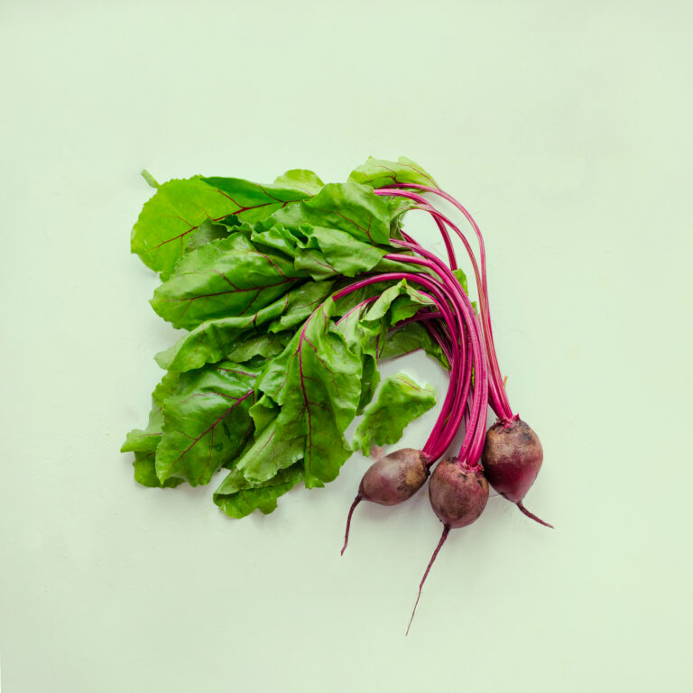 Recharge de graines de mini-betterave pour potager connecté d'intérieur Cultive sur fond vert clair