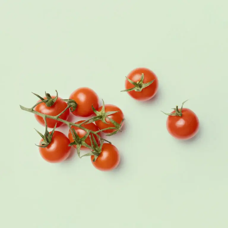 Recharge de graines de tomates-cerises pour potager connecté d'intérieur Cultive sur fond vert clair