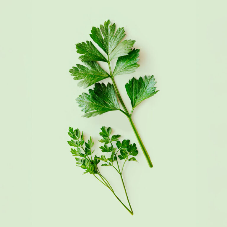 Recharge de graines d'herbes aromatiques pour potager connect&eacute; d'int&eacute;rieur Cultive sur fond vert clair